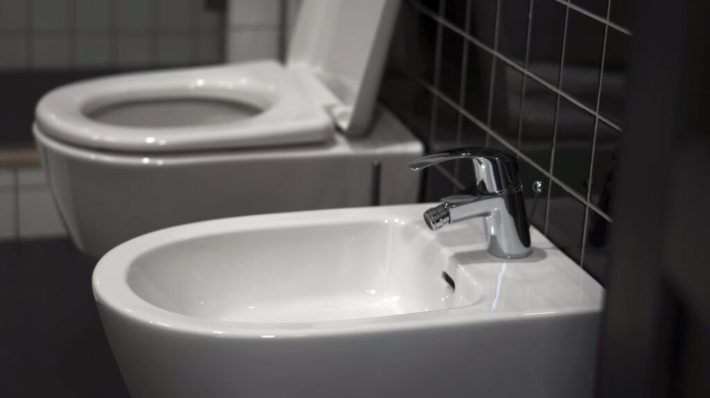 diffusione bidet nel mondo